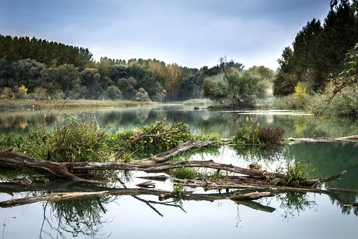Rubrik_Naturschutz_-_Donau_pixabayriver-977476__340